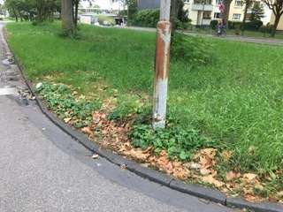 Bild zu gemeldetem Anliegen vom *2024-10-08 15:12:29