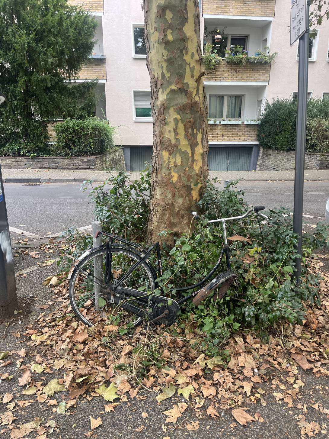 Bild zu gemeldetem Anliegen vom *2024-10-04 11:37:15