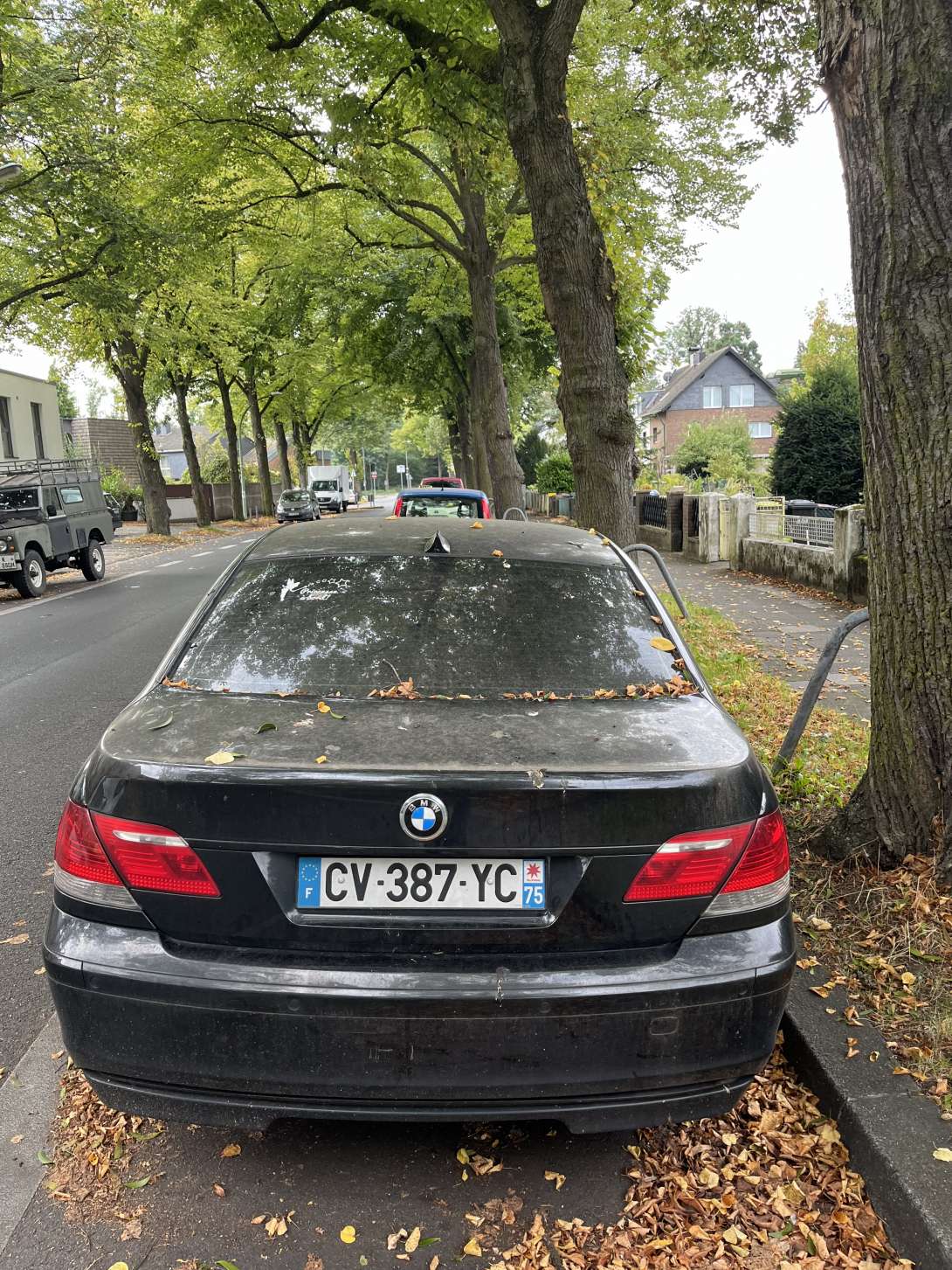 Bild zu gemeldetem Anliegen vom *2024-10-24 11:34:19