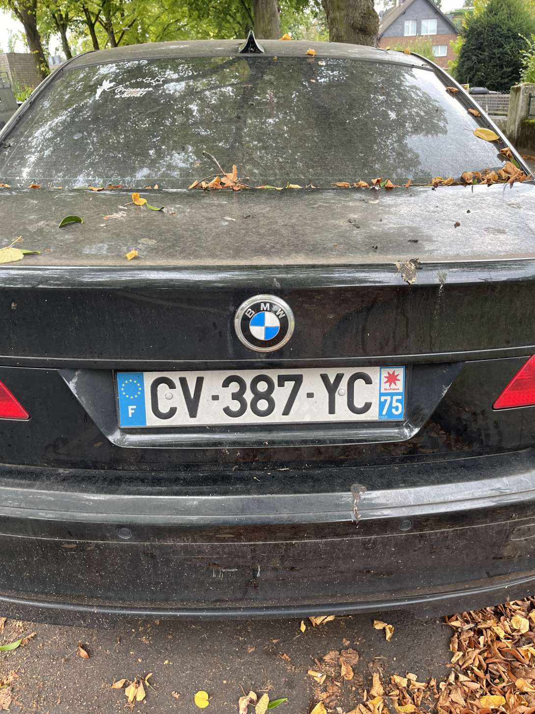 Bild zu gemeldetem Anliegen vom *2024-11-08 21:35:50