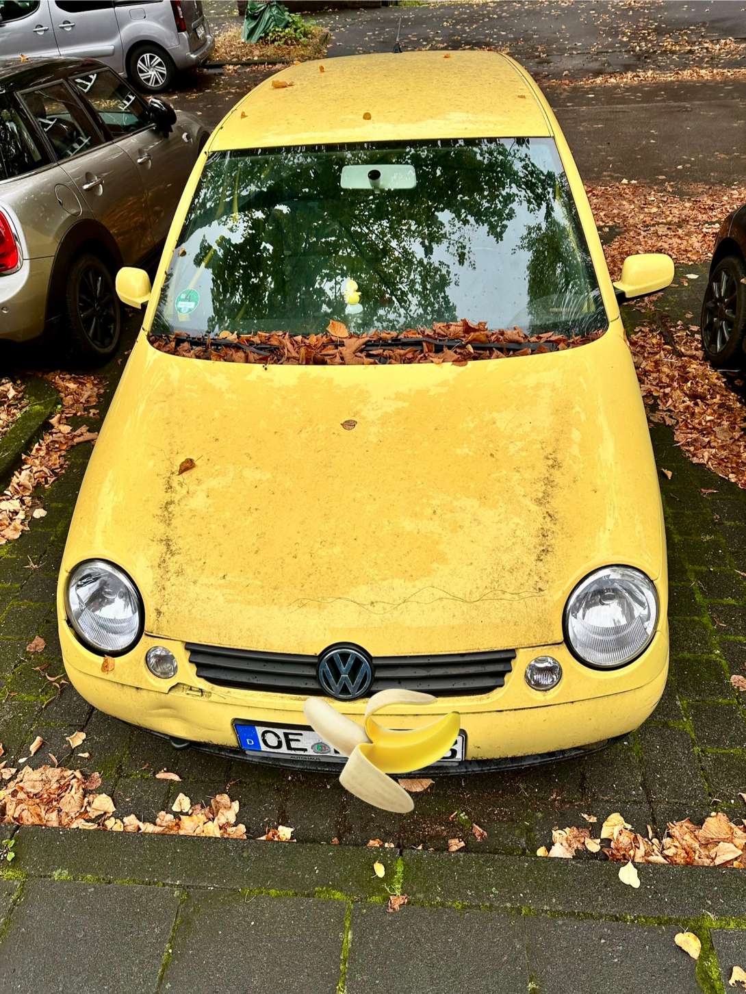 Bild zu gemeldetem Anliegen vom *2024-10-01 12:14:54
