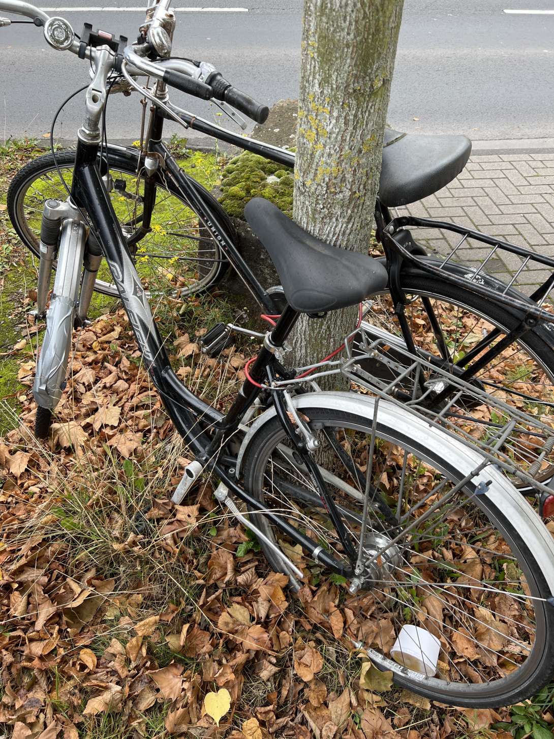 Bild zu gemeldetem Anliegen vom *2024-10-08 12:43:26