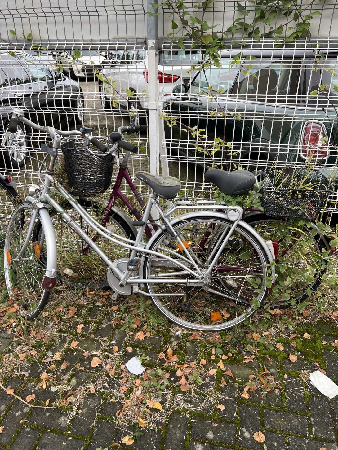 Bild zu gemeldetem Anliegen vom *2024-10-09 12:10:14
