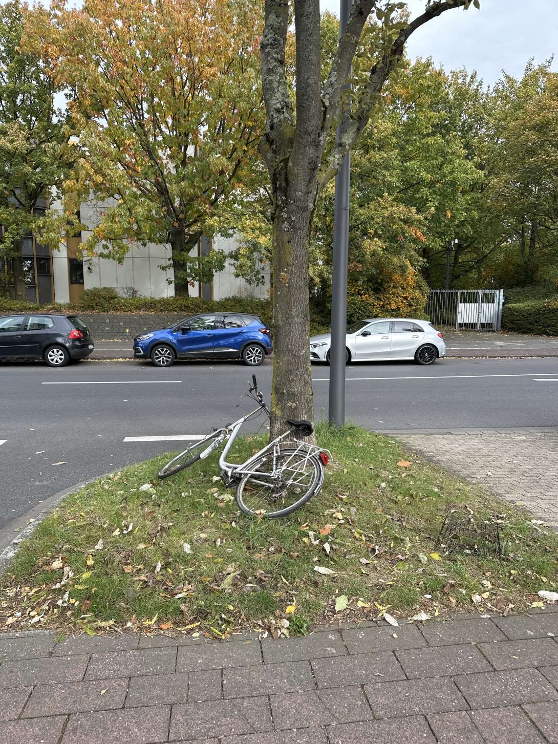 Bild zu gemeldetem Anliegen vom *2024-10-14 13:29:11