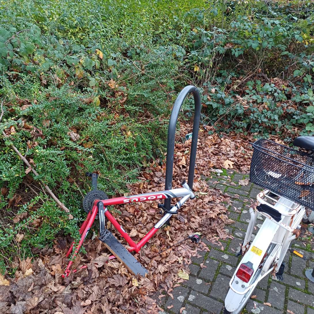Bild zu gemeldetem Anliegen vom *2024-11-29 09:27:03