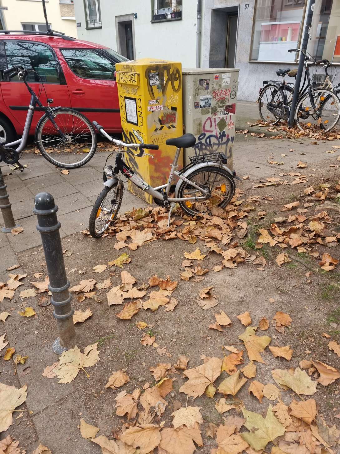 Bild zu gemeldetem Anliegen vom *2024-11-13 11:11:58