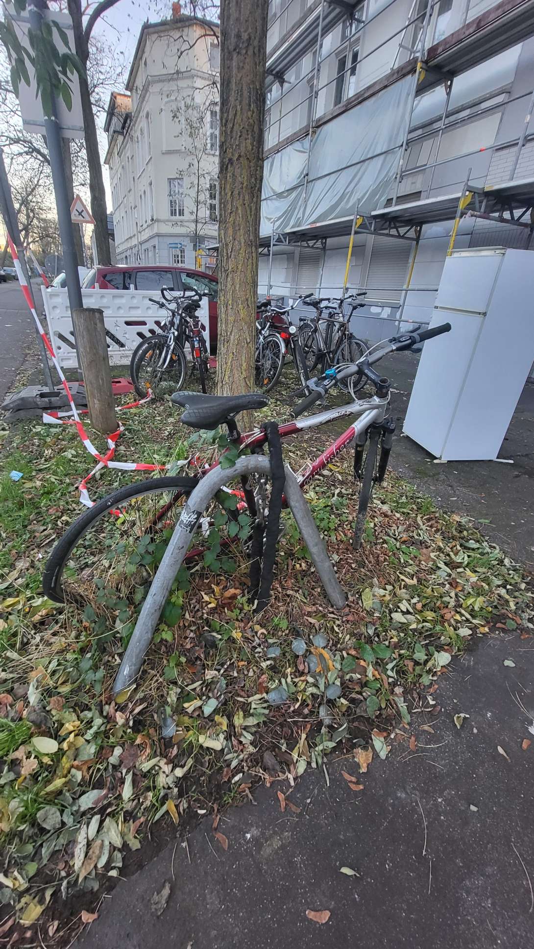 Bild zu gemeldetem Anliegen vom *2024-12-02 09:54:23
