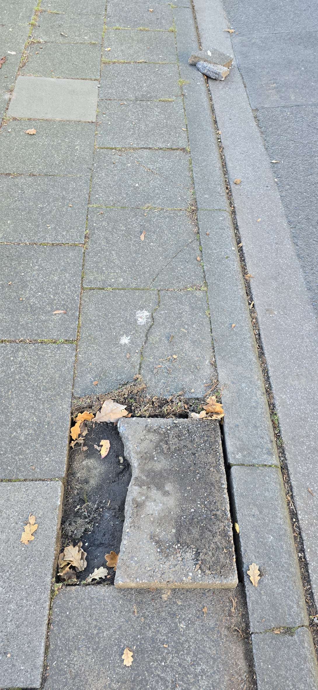 Bild zu gemeldetem Anliegen vom *2024-11-30 14:19:38