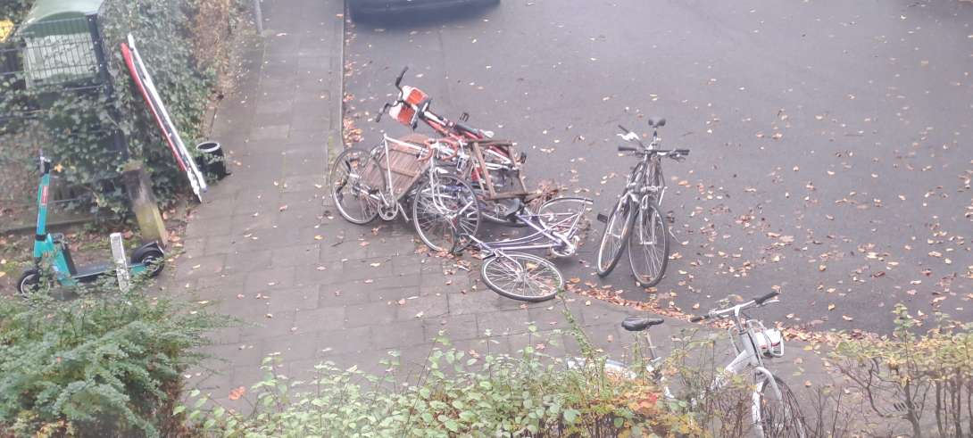 Bild zu gemeldetem Anliegen vom *2024-11-12 14:33:46