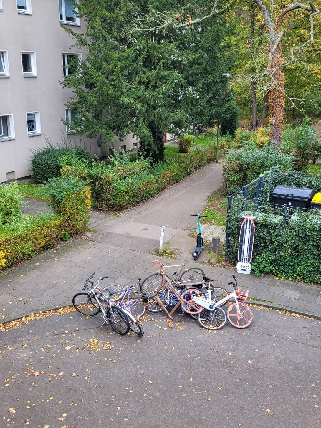 Bild zu gemeldetem Anliegen vom *2024-11-13 08:44:10