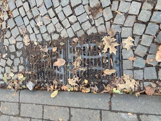 Bild zu gemeldetem Anliegen vom *2024-11-28 11:15:52