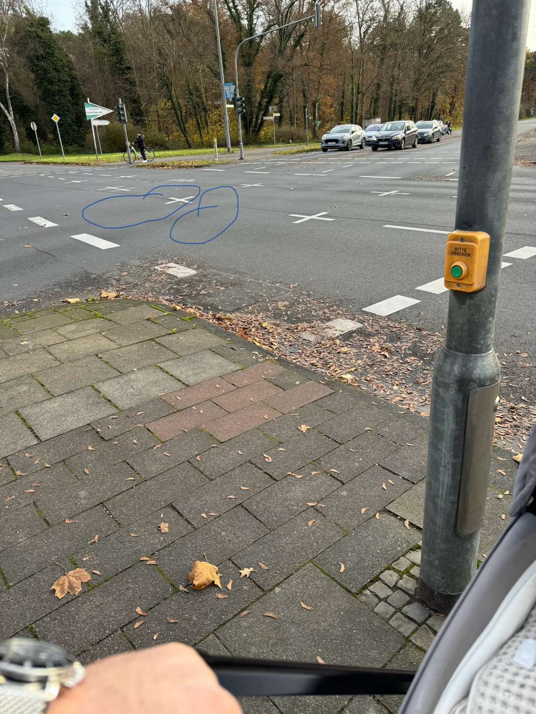 Bild zu gemeldetem Anliegen vom *2024-11-24 21:02:11