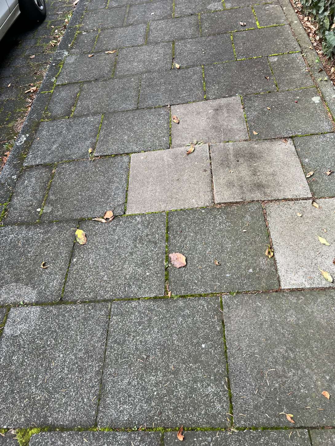 Bild zu gemeldetem Anliegen vom *2024-11-15 12:45:59
