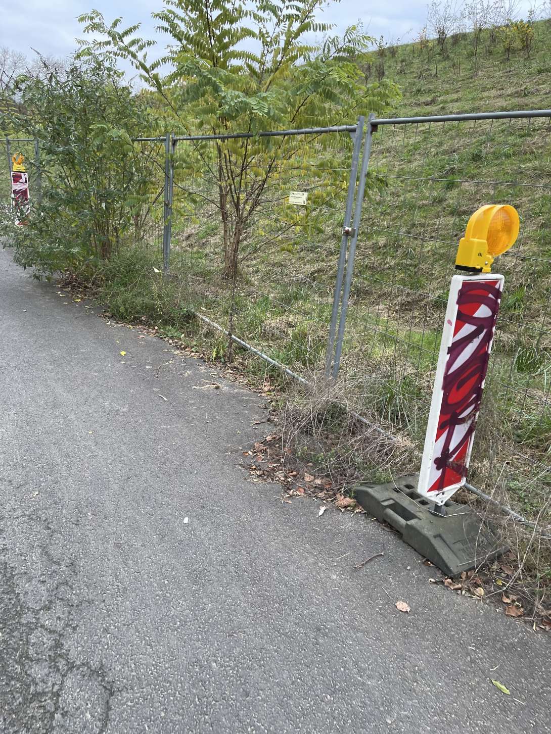 Bild zu gemeldetem Anliegen vom *2024-11-18 09:07:17