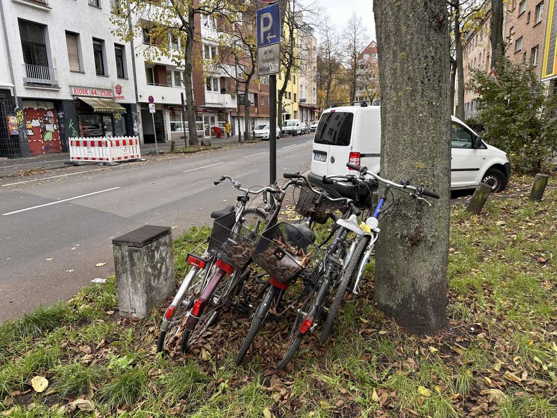 Bild zu gemeldetem Anliegen vom *2024-11-27 16:10:16