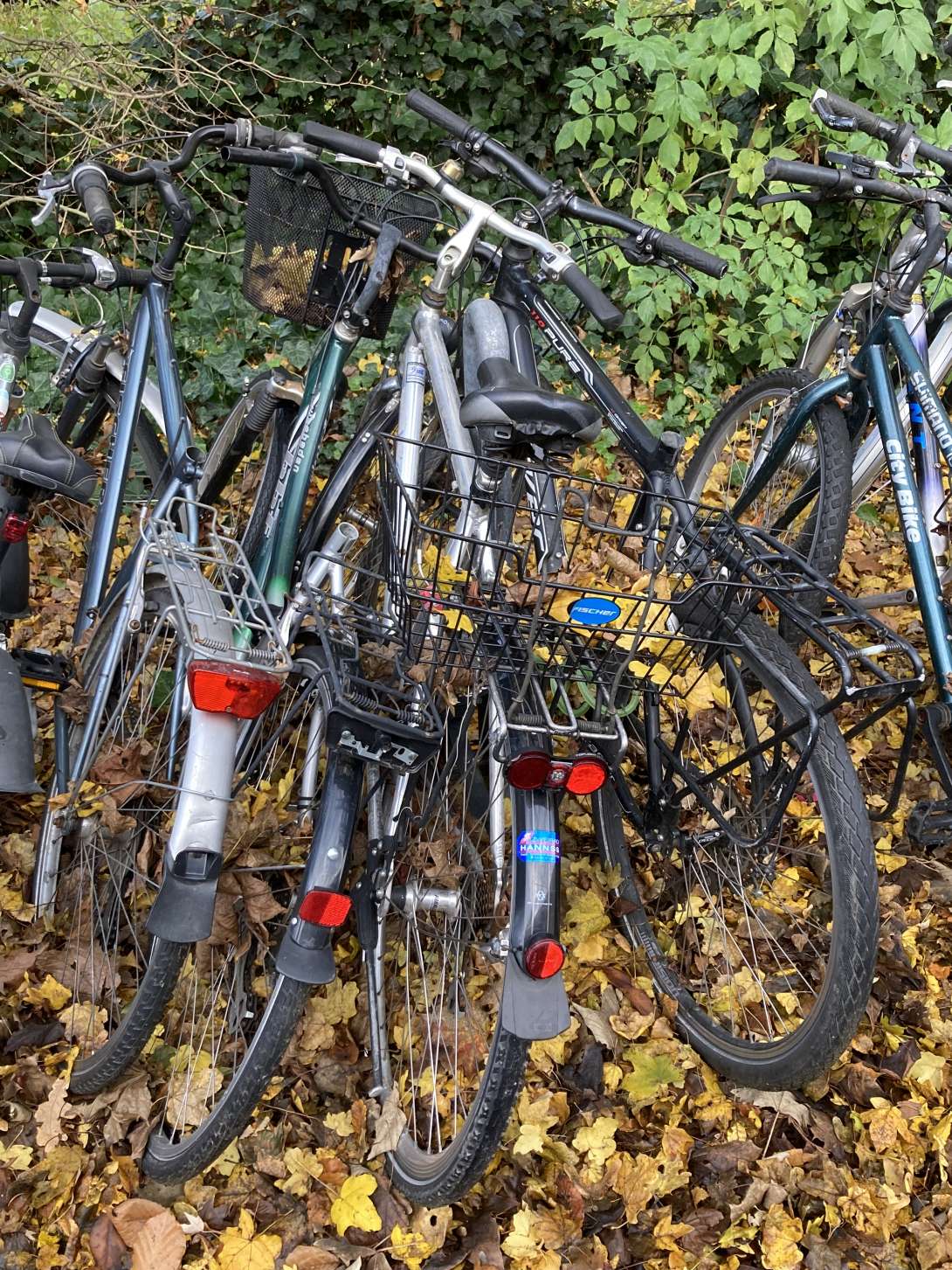 Bild zu gemeldetem Anliegen vom *2024-11-26 12:29:32