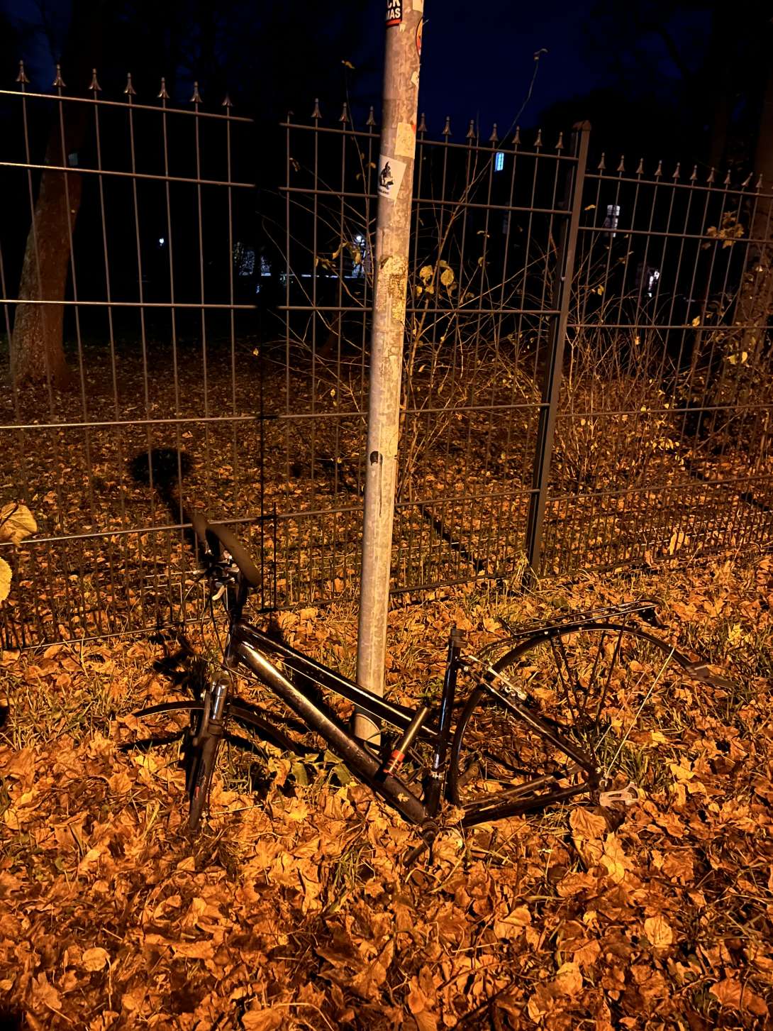 Bild zu gemeldetem Anliegen vom *2024-12-03 14:37:07