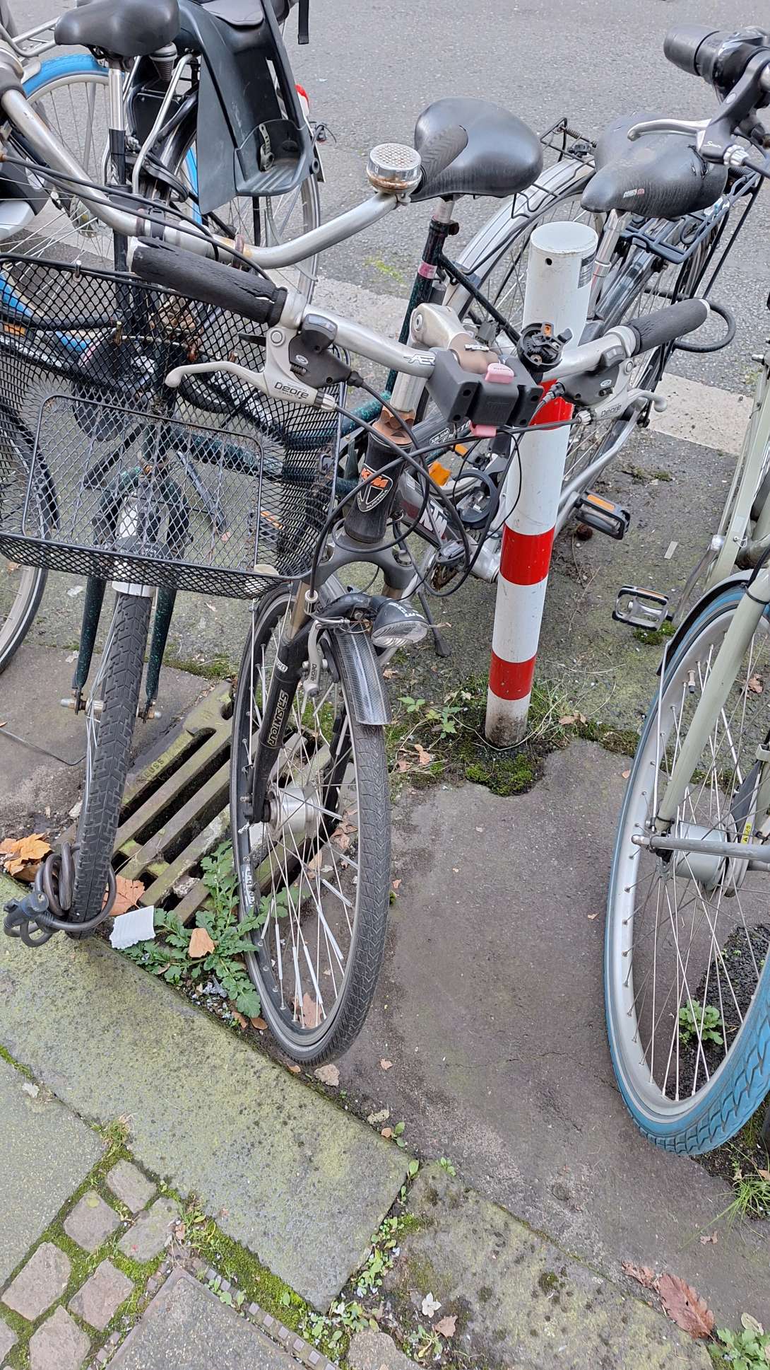 Bild zu gemeldetem Anliegen vom *2024-12-02 19:03:22