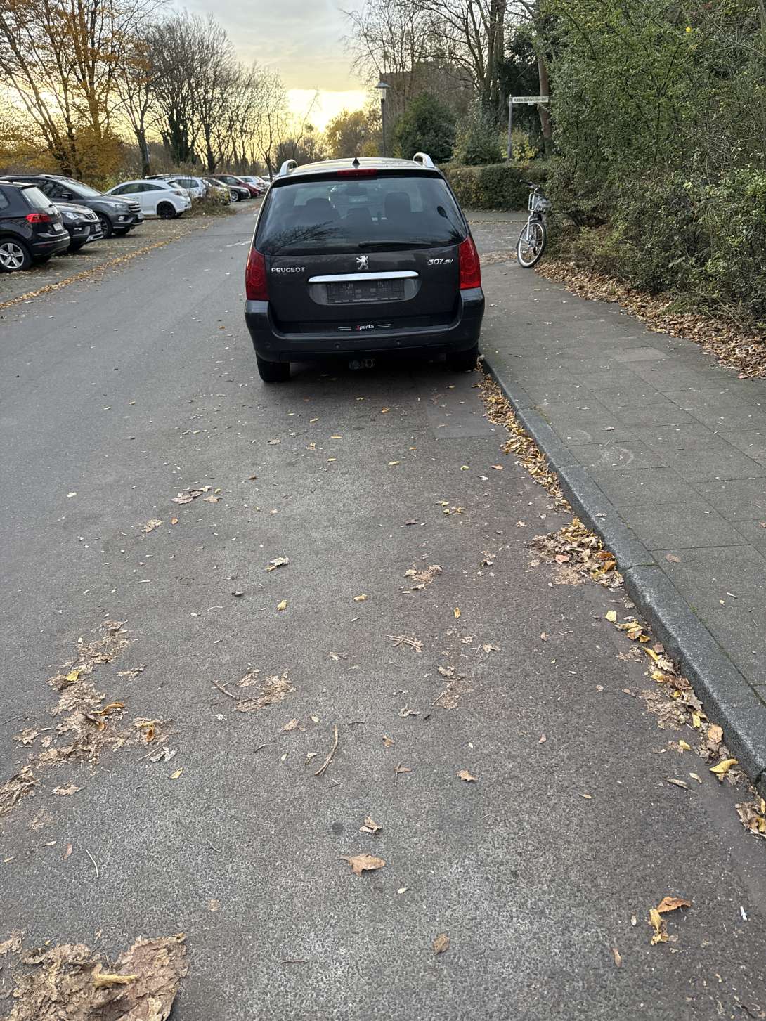 Bild zu gemeldetem Anliegen vom *2024-11-26 13:55:28