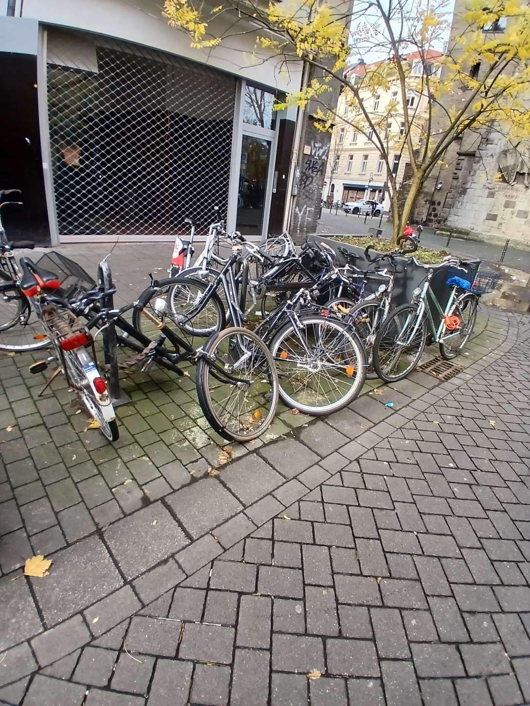 Bild zu gemeldetem Anliegen vom *2024-12-02 18:56:49