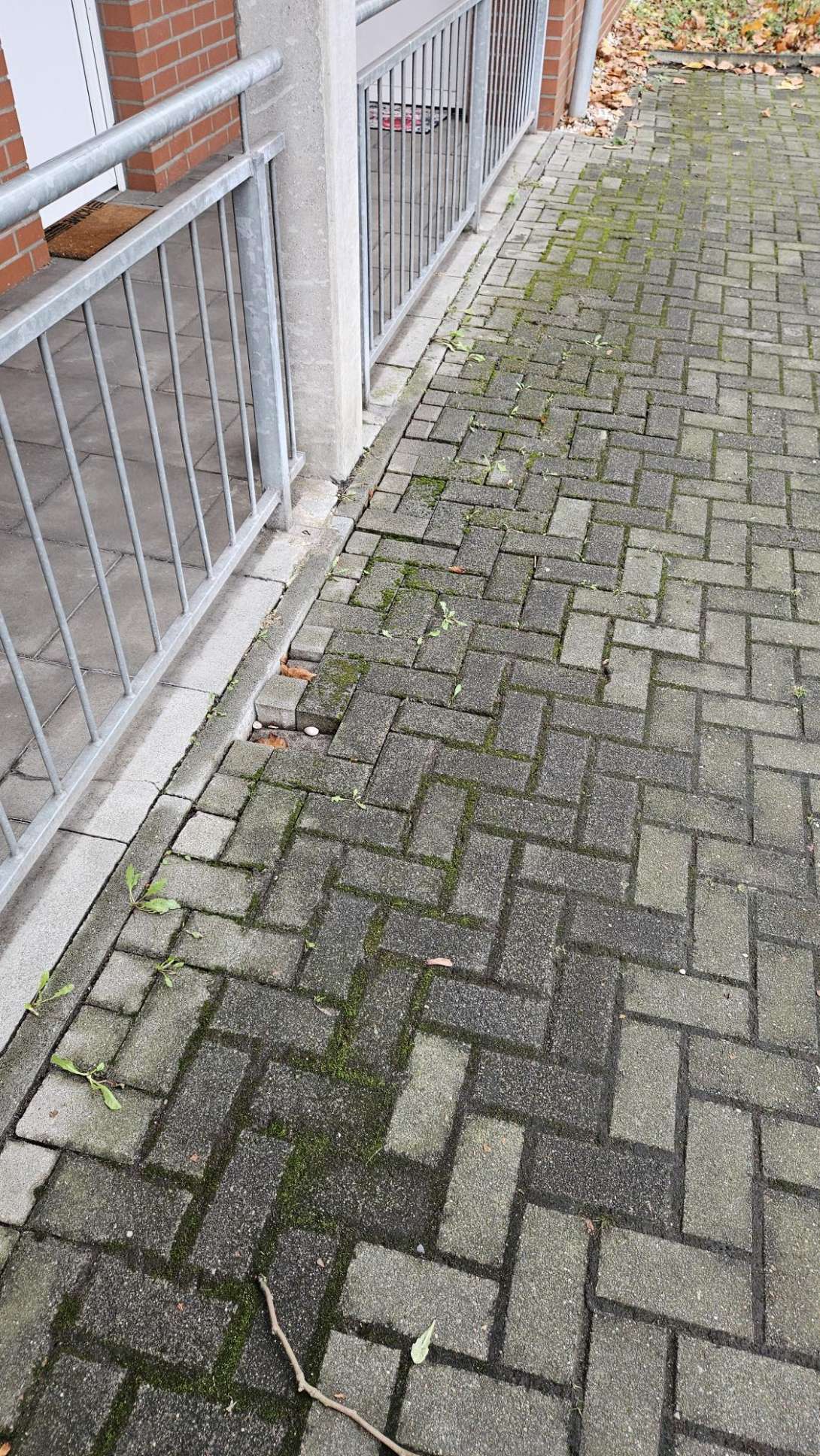 Bild zu gemeldetem Anliegen vom *2024-12-18 13:11:11