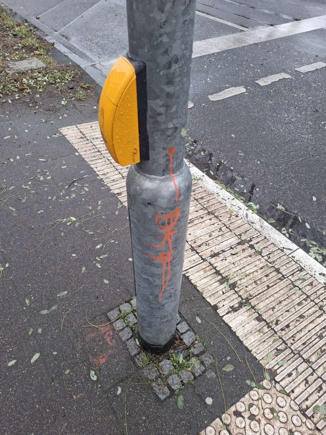 Bild zu gemeldetem Anliegen vom *2025-01-02 14:59:49