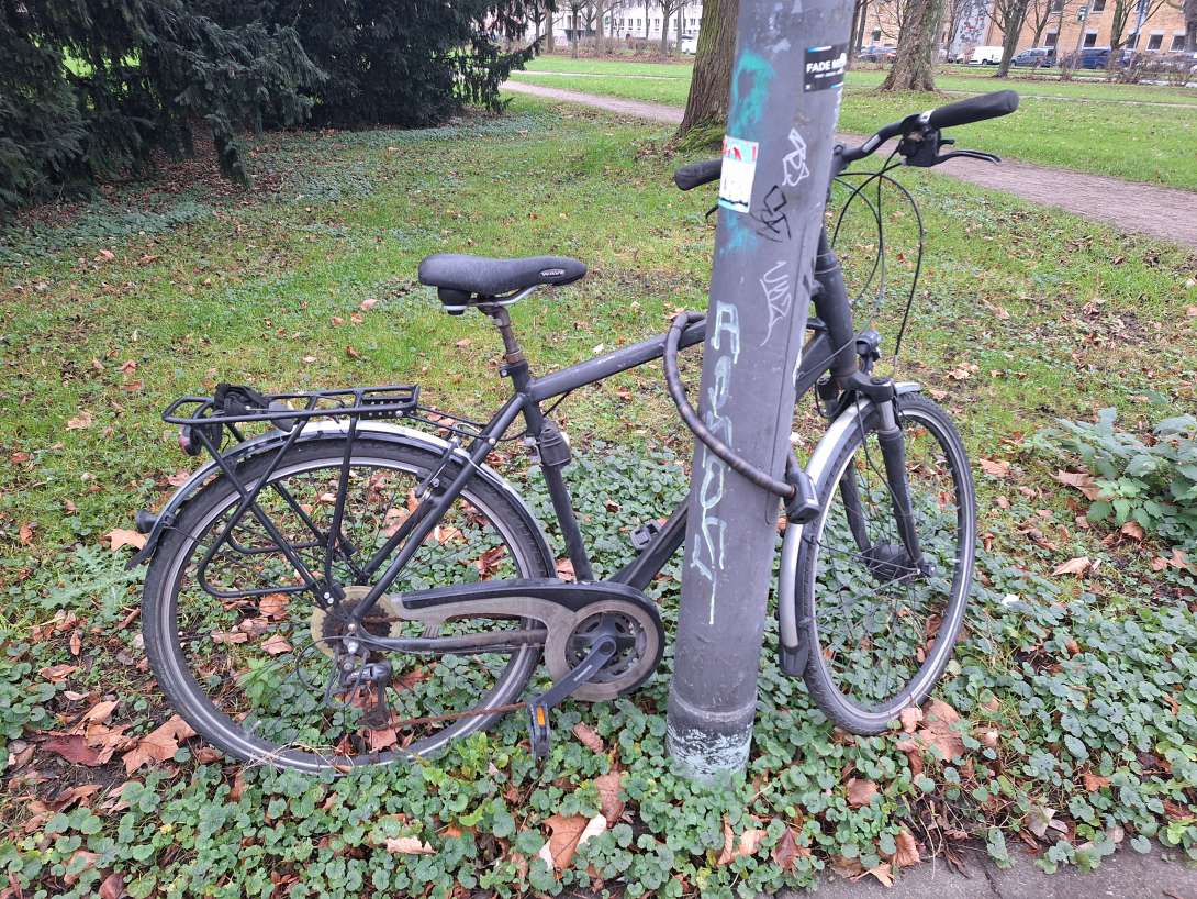 Bild zu gemeldetem Anliegen vom *2025-01-06 10:33:02