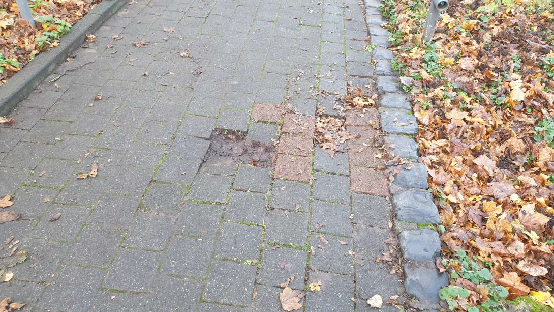 Bild zu gemeldetem Anliegen vom *2024-12-03 09:40:52