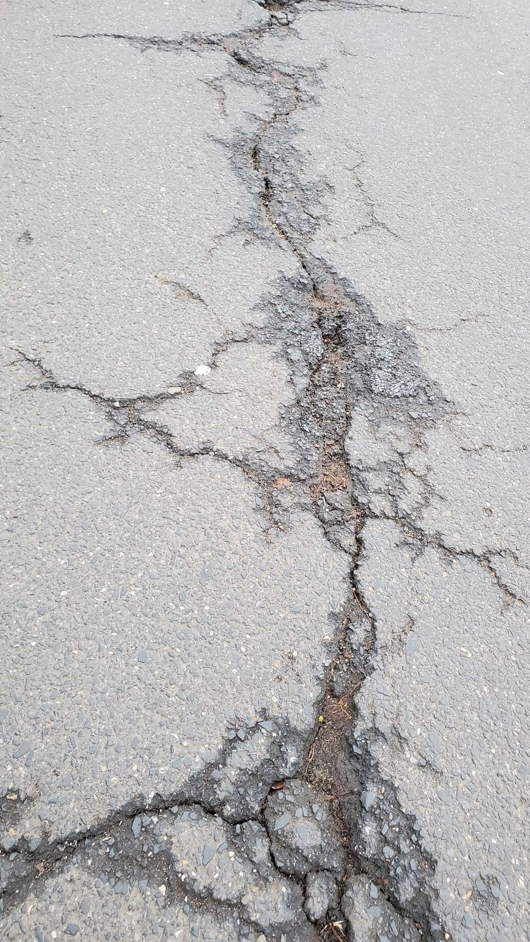 Bild zu gemeldetem Anliegen vom *2024-12-04 10:01:20