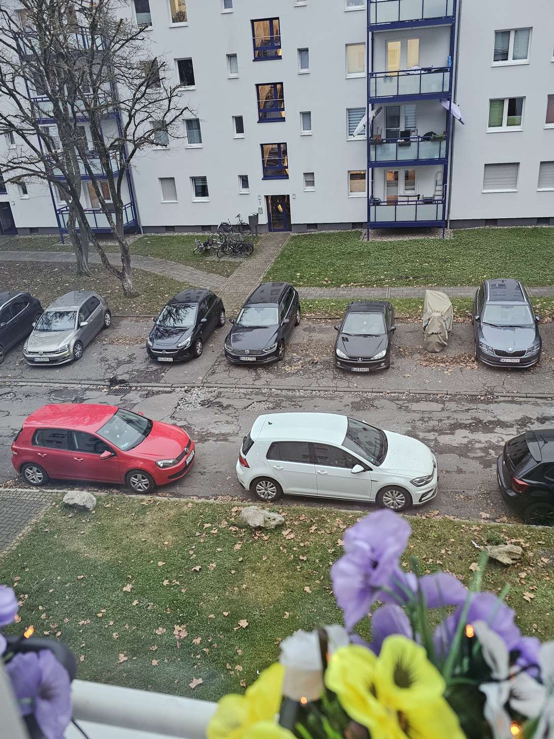 Bild zu gemeldetem Anliegen vom *2024-12-11 11:06:54