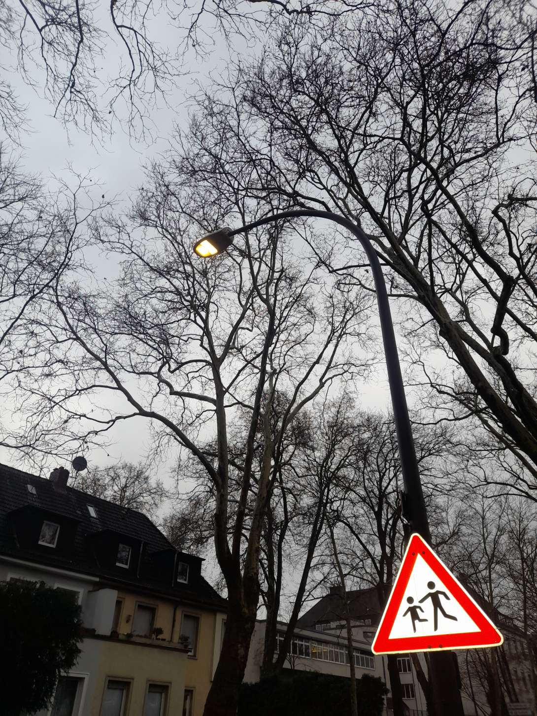 Bild zu gemeldetem Anliegen vom *2024-12-16 13:55:45