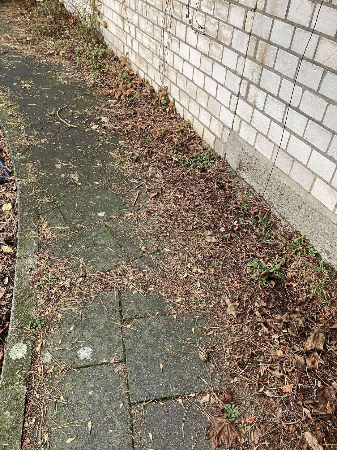 Bild zu gemeldetem Anliegen vom *2024-12-14 15:59:49