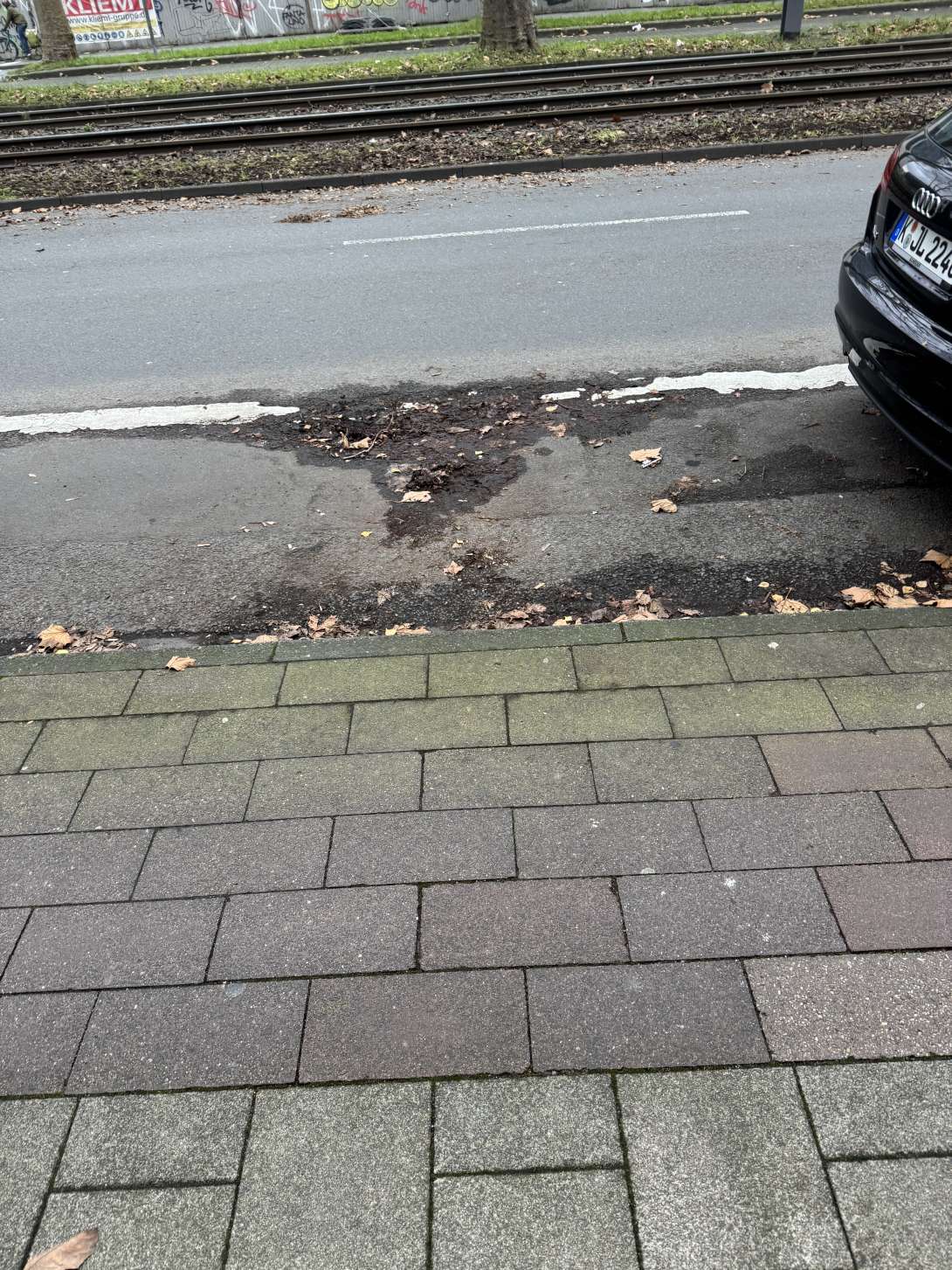 Bild zu gemeldetem Anliegen vom *2024-12-10 17:57:09