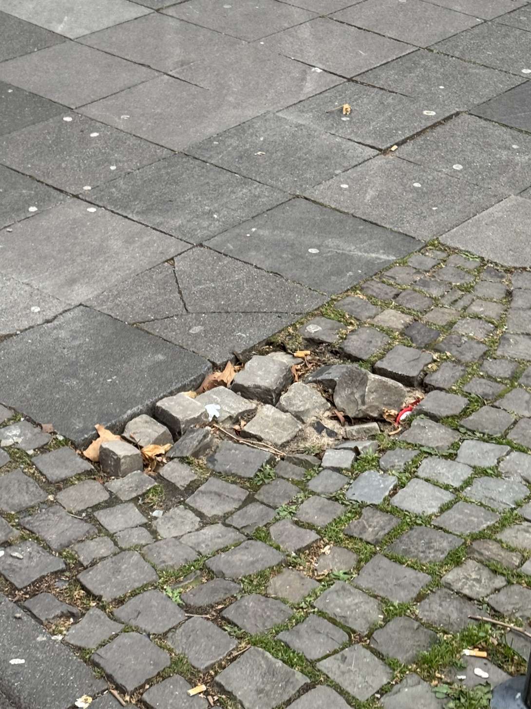 Bild zu gemeldetem Anliegen vom *2024-12-08 10:53:01