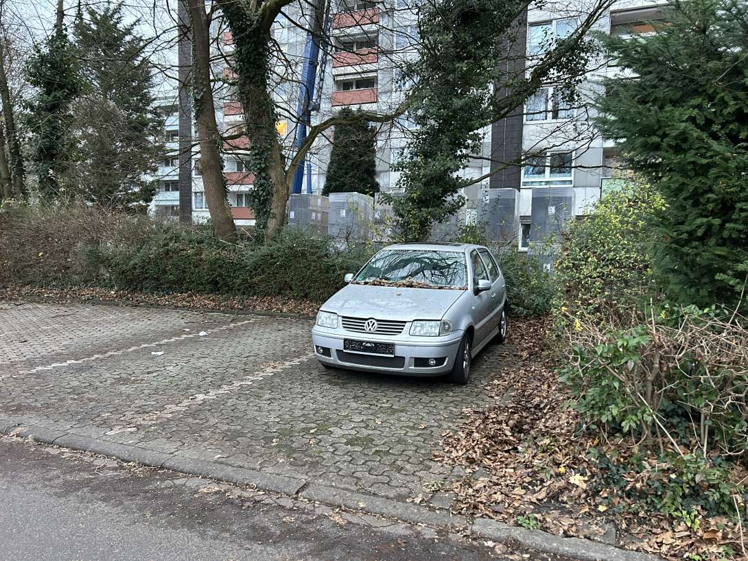 Bild zu gemeldetem Anliegen vom *2024-12-11 12:56:20