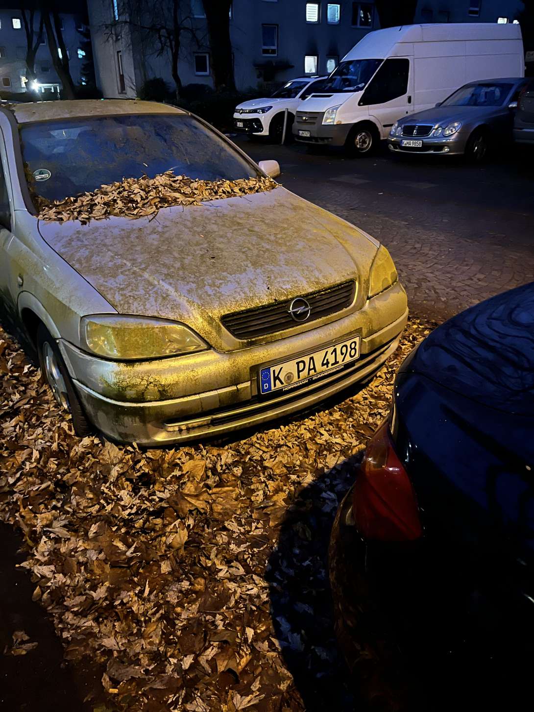 Bild zu gemeldetem Anliegen vom *2025-01-02 12:37:11