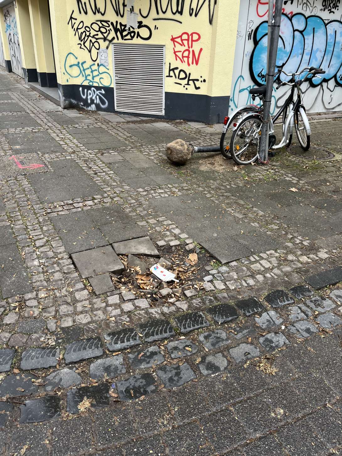 Bild zu gemeldetem Anliegen vom *2024-12-07 13:11:58