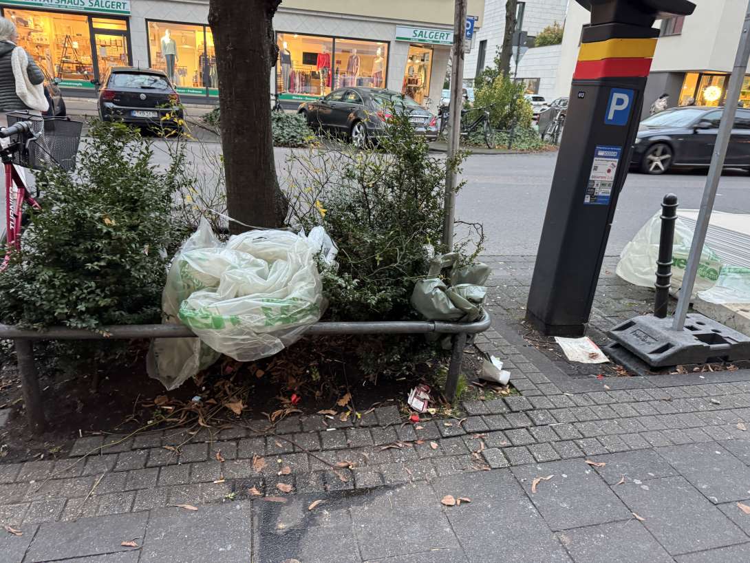 Bild zu gemeldetem Anliegen vom *2024-12-13 10:51:38
