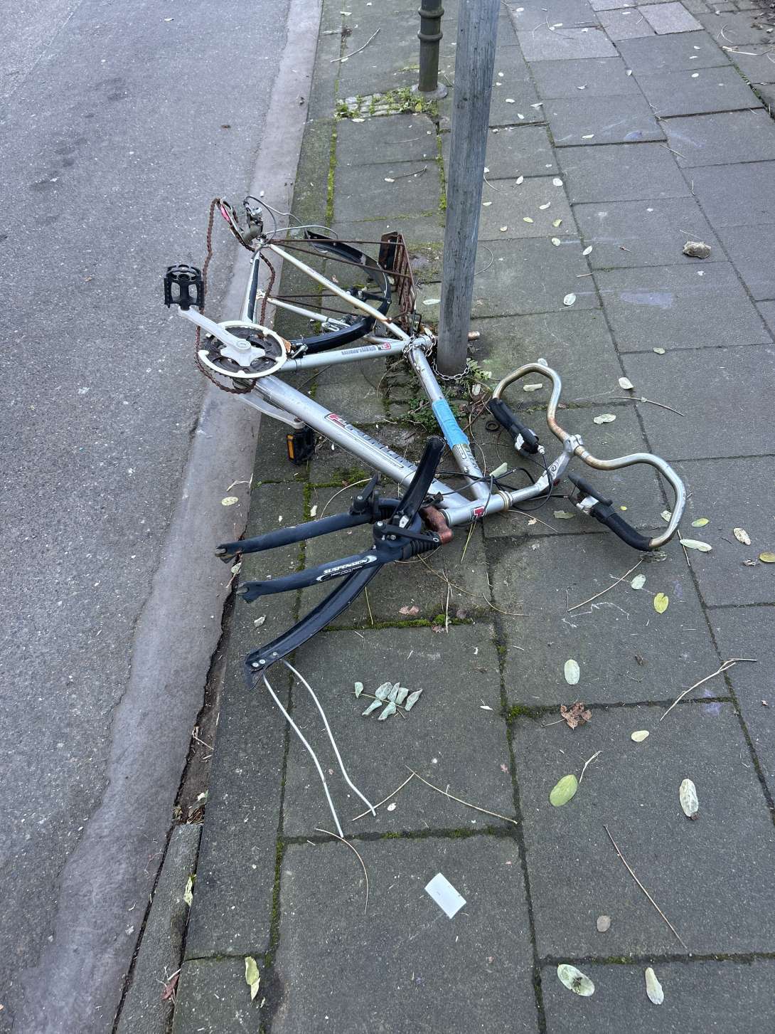 Bild zu gemeldetem Anliegen vom *2024-12-02 19:01:56