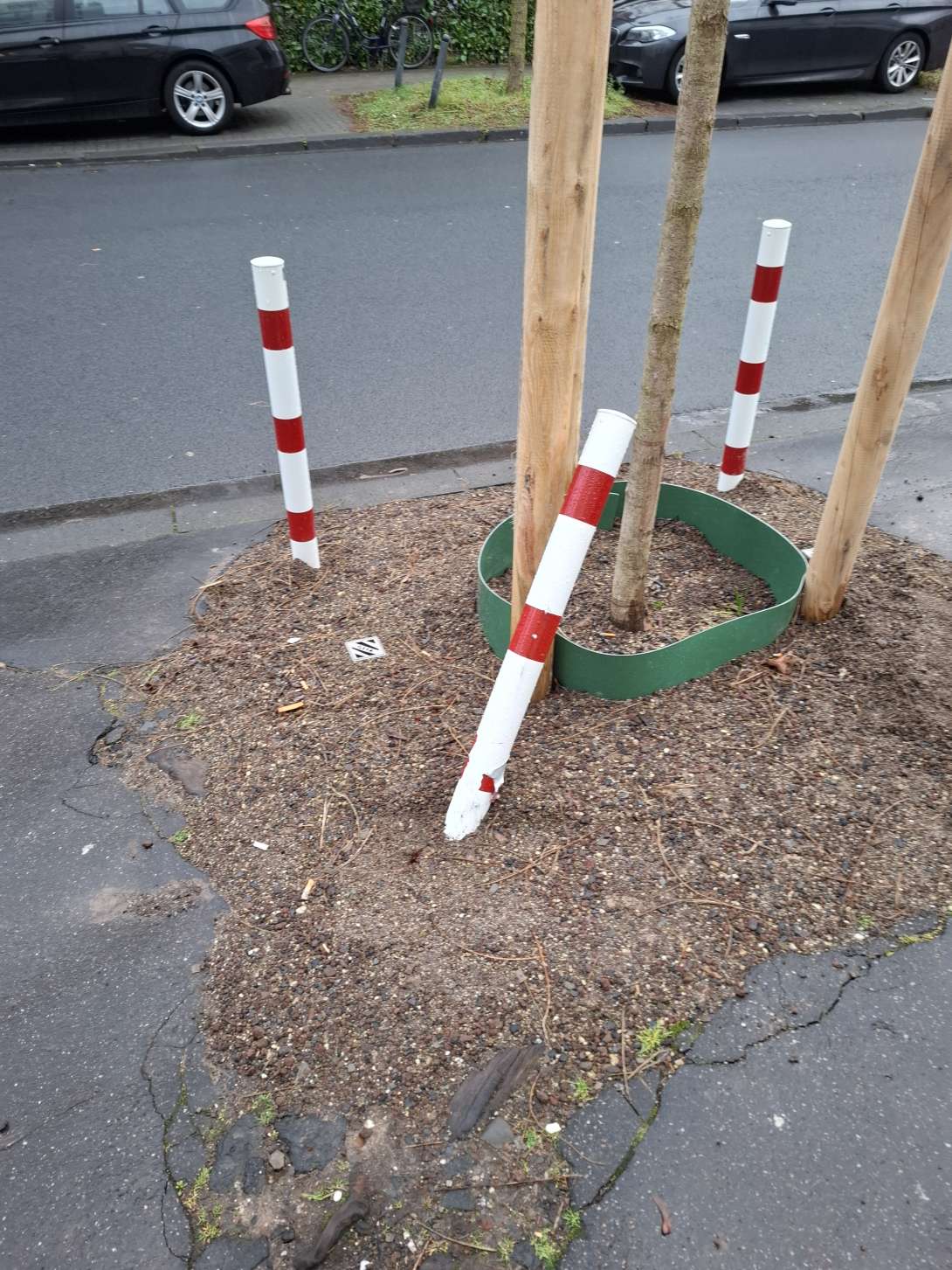 Bild zu gemeldetem Anliegen vom *2025-01-30 09:23:32
