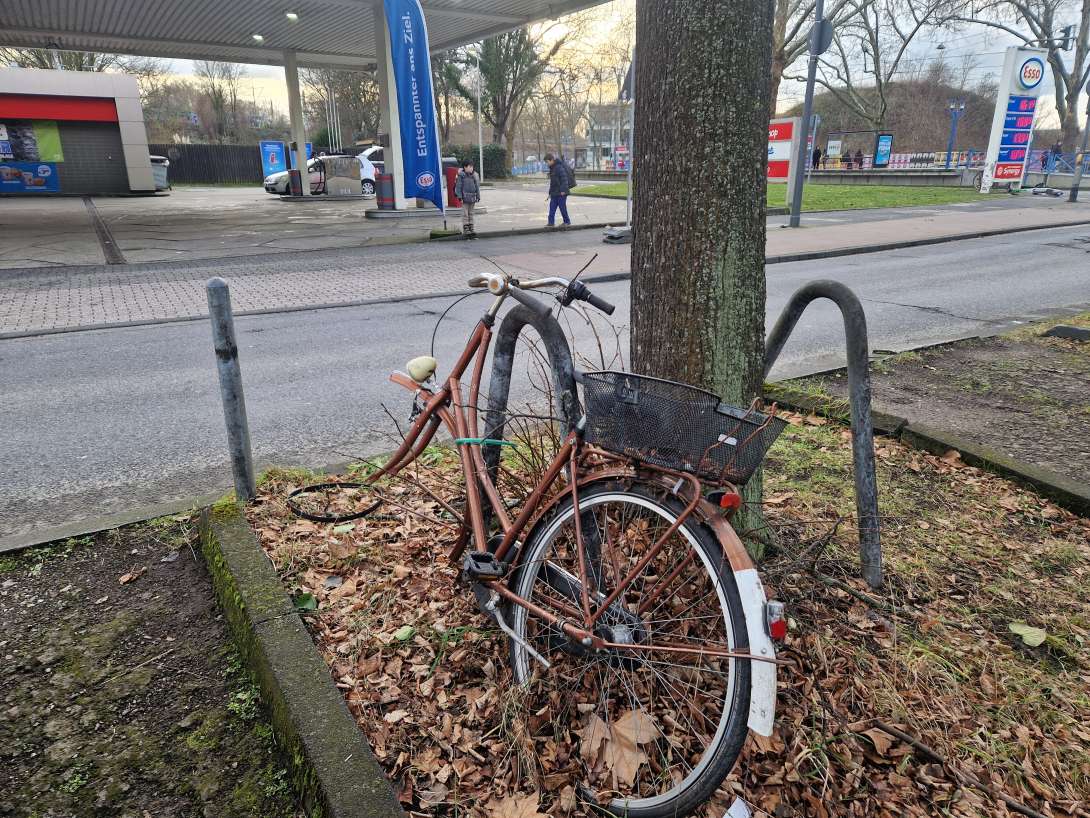 Bild zu gemeldetem Anliegen vom *2025-02-03 07:15:52