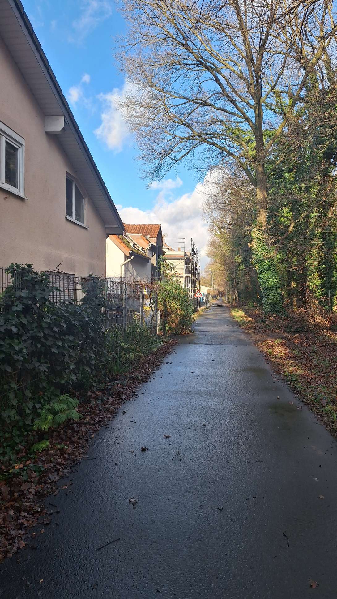 Bild zu gemeldetem Anliegen vom *2025-01-03 12:10:13