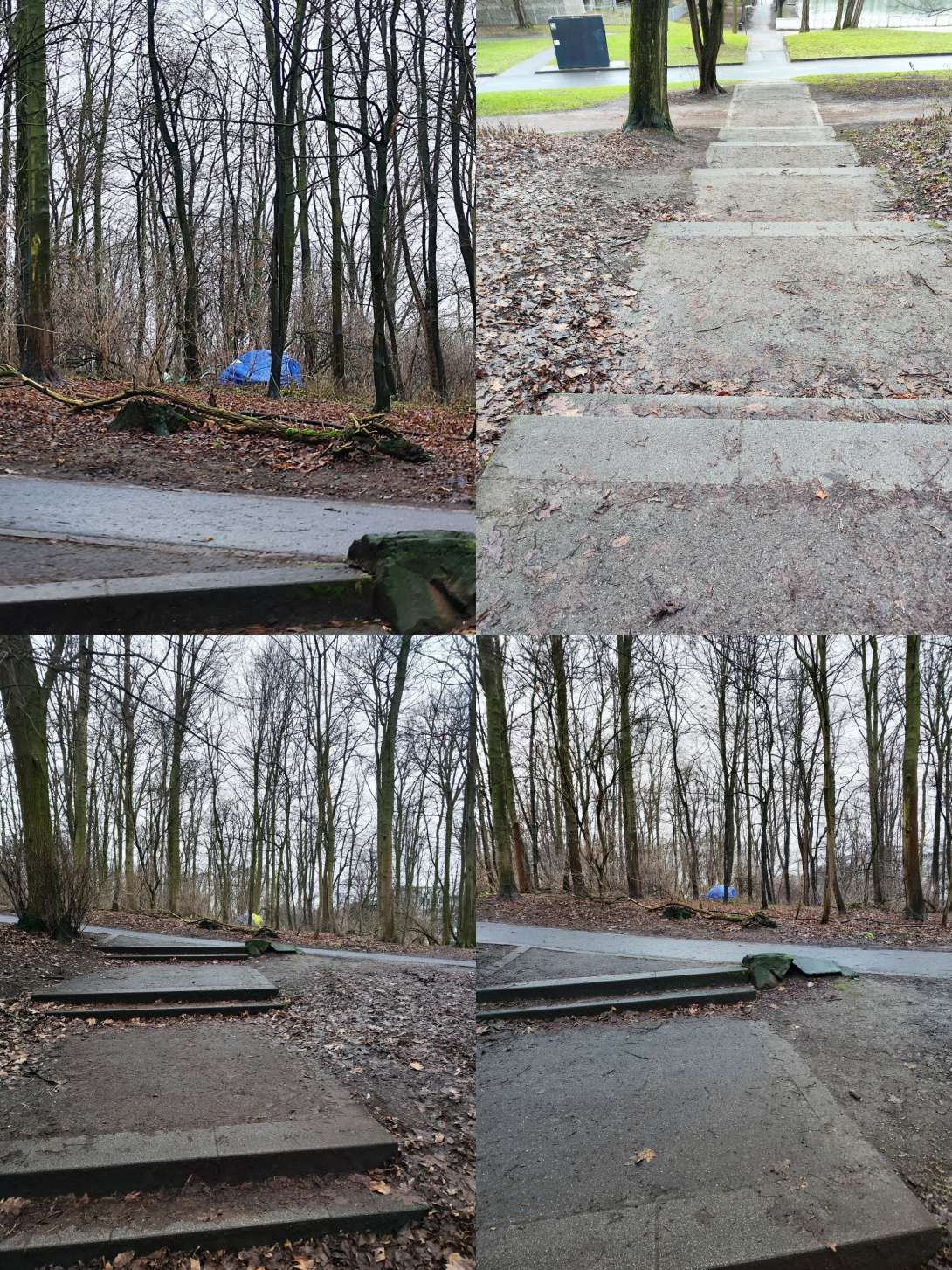 Bild zu gemeldetem Anliegen vom *2025-02-03 14:41:56