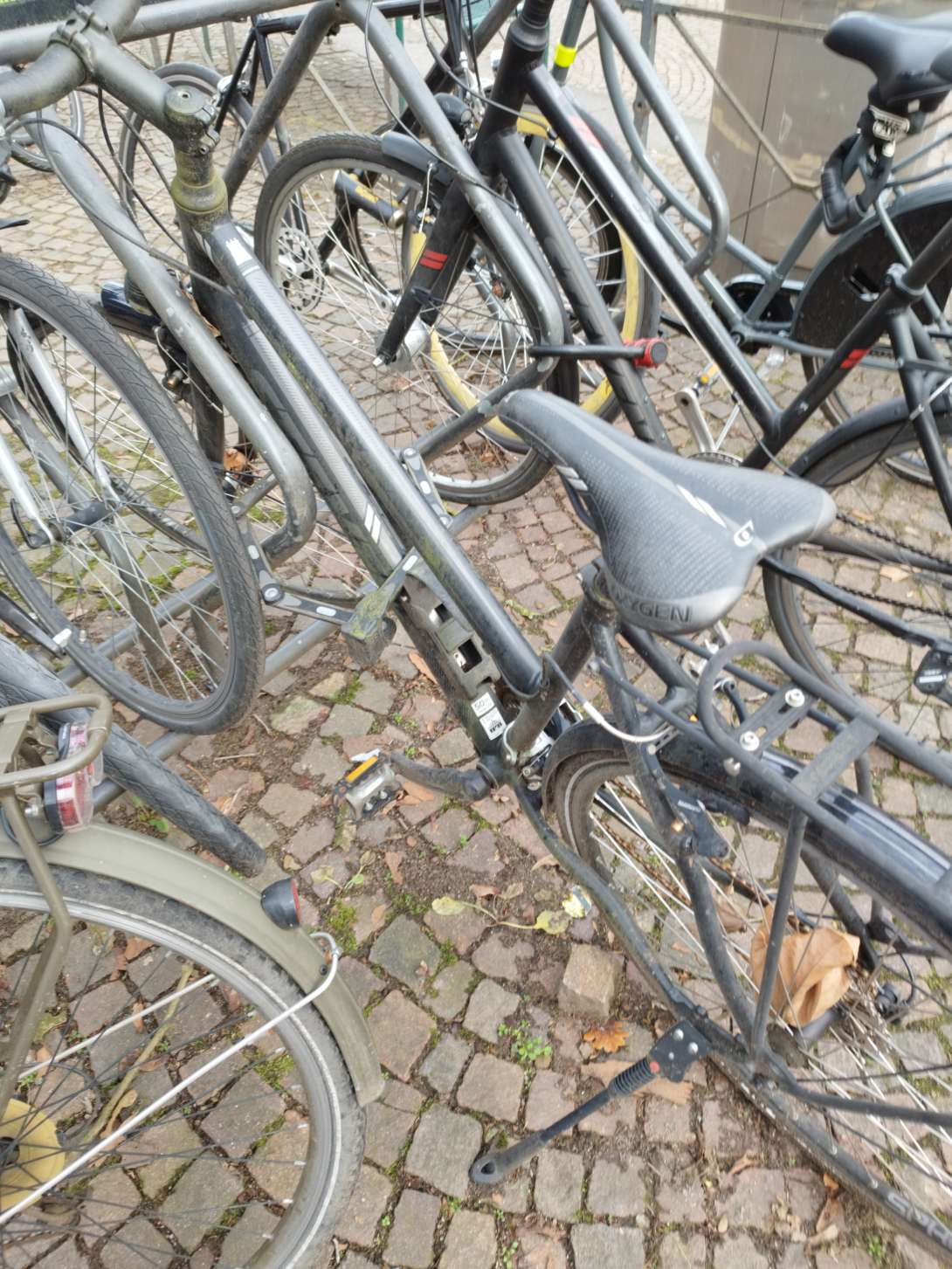 Bild zu gemeldetem Anliegen vom *2025-02-03 10:51:33