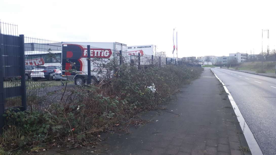 Bild zu gemeldetem Anliegen vom *2025-01-06 11:28:34