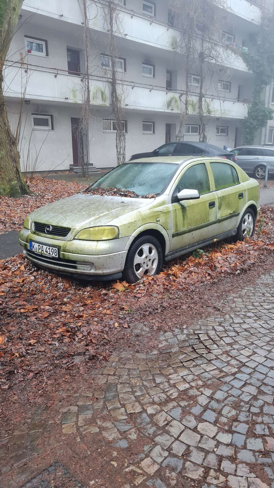 Bild zu gemeldetem Anliegen vom *2025-01-17 08:31:58