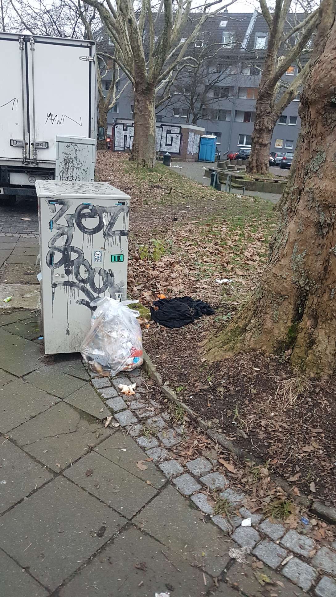 Bild zu gemeldetem Anliegen vom *2025-01-20 19:41:10