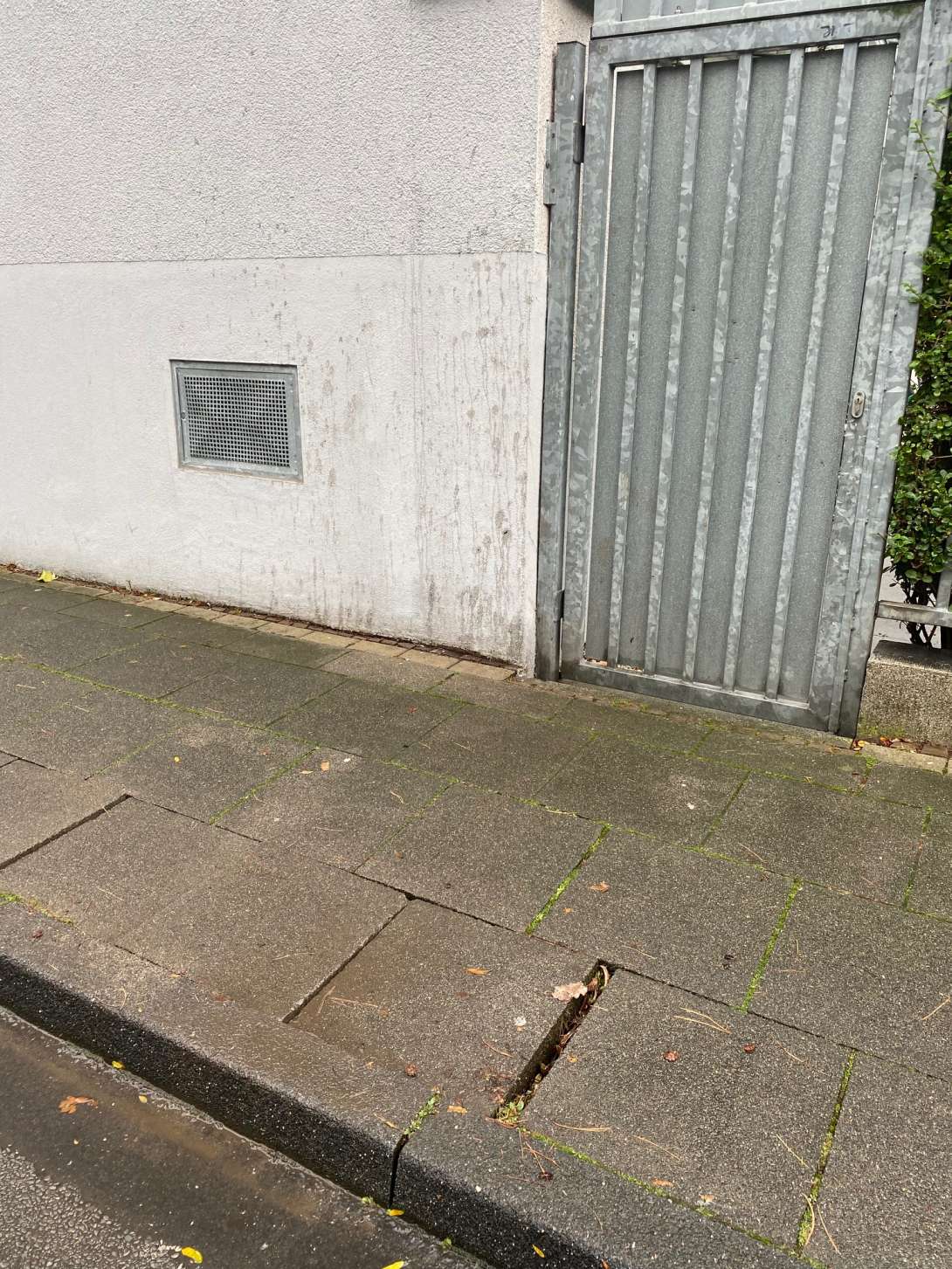 Bild zu gemeldetem Anliegen vom *2025-01-15 19:45:41
