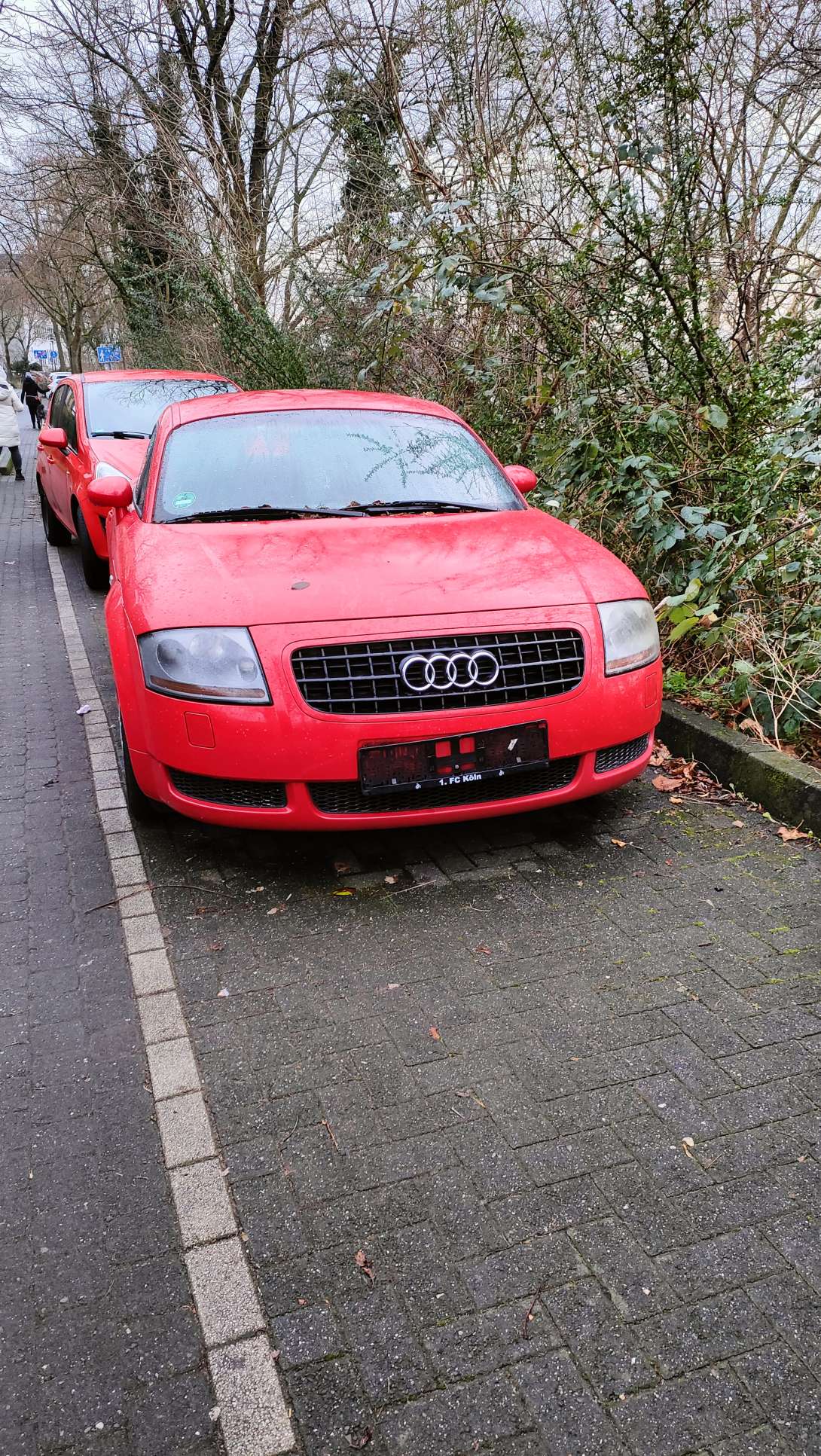 Bild zu gemeldetem Anliegen vom *2025-01-23 11:37:14