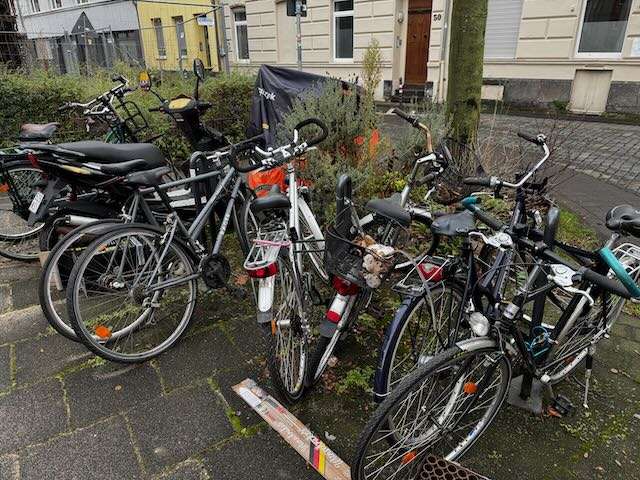 Bild zu gemeldetem Anliegen vom *2025-01-16 14:22:24
